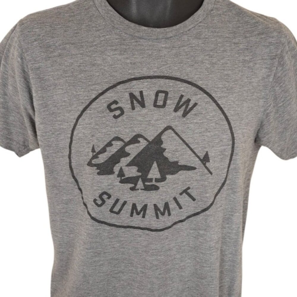 Ski Snow Summit T Shirt Mens Size Medium Gray Big Bear Mountain Resort